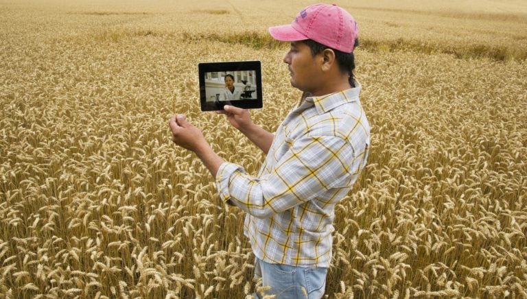Entenda como a tecnologia está facilitando o dia a dia do trabalhador rural - Ecotelecom Vivo Empresas